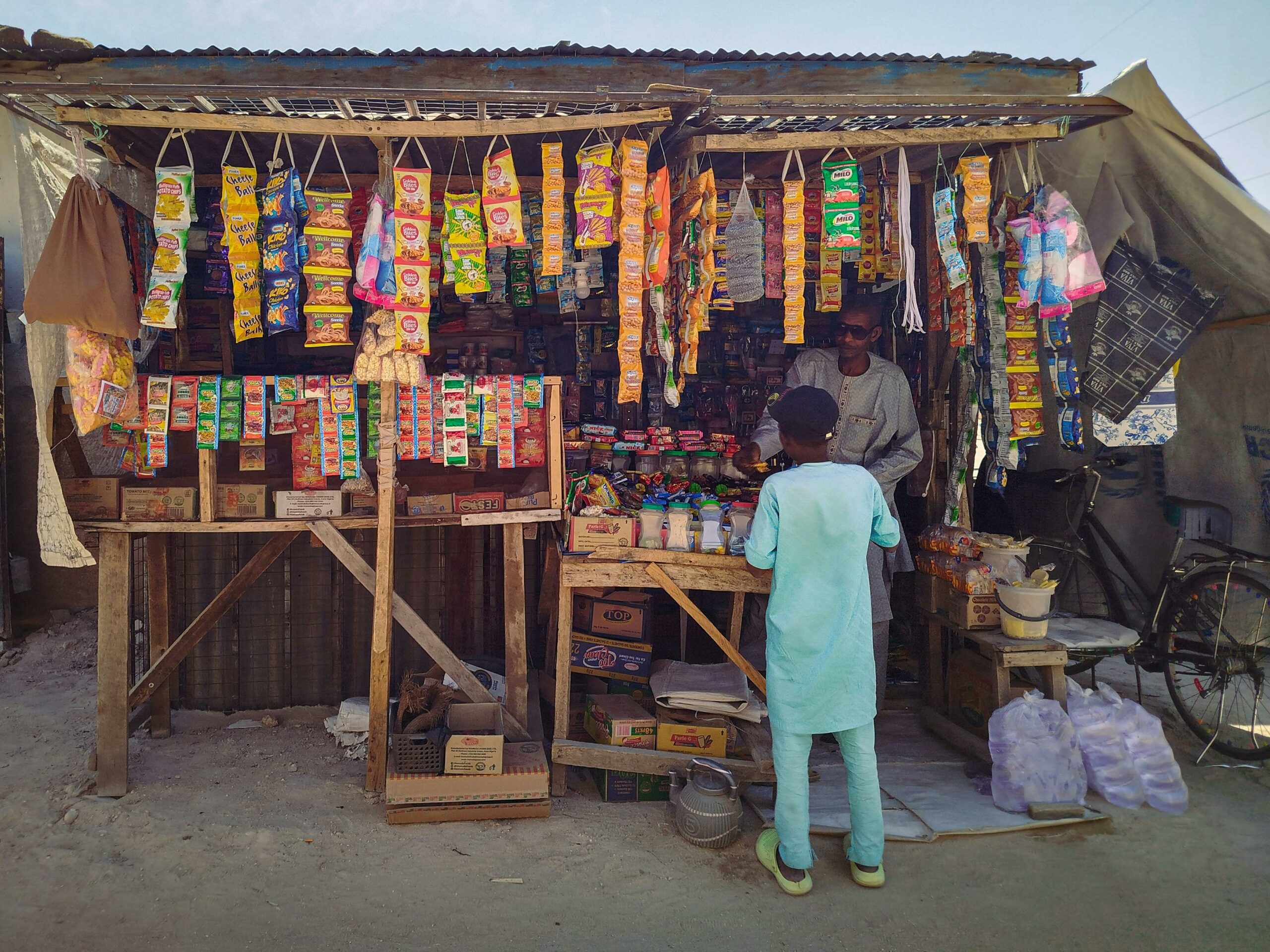 The Performance Paradox: Analyzing Diverging Trends Among Nigerian SMEs