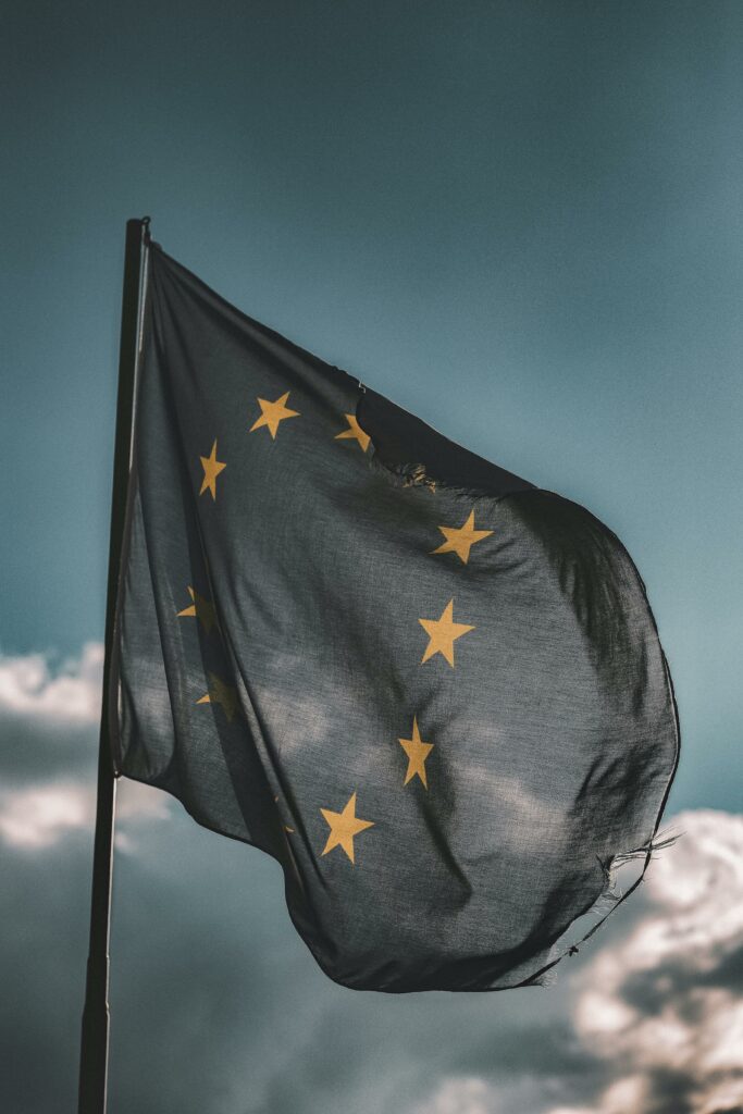 Etat de la régulation des Prestataires de Services sur Actifs Numériques en zone EURO